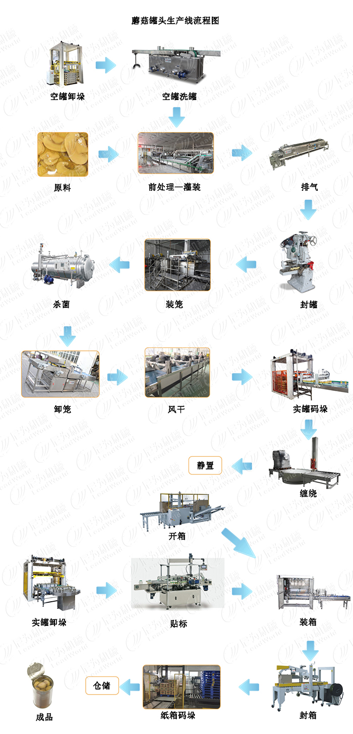 蘑菇罐头生产线设备