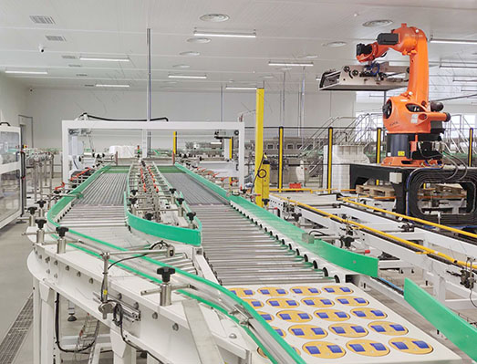 金枪鱼罐头生产线